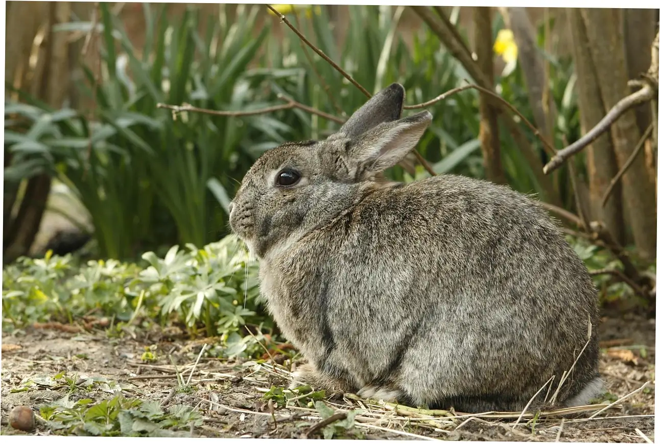 Environmental and Dietary Dangers
