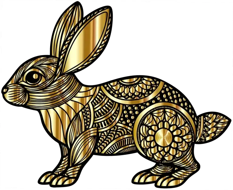 Are Cucumbers Safe for Rabbit Consumption?