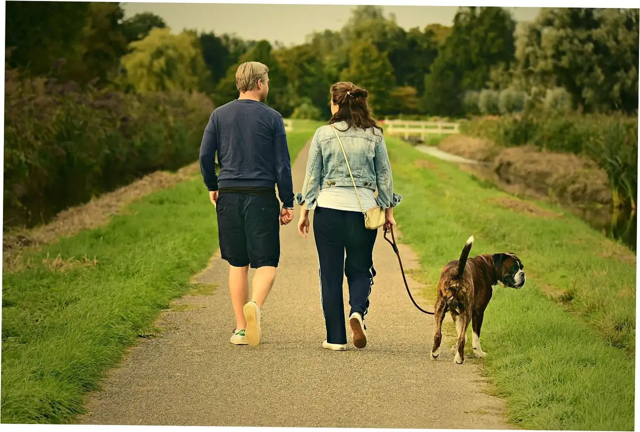 2. Medical Causes of Excessive Scratching