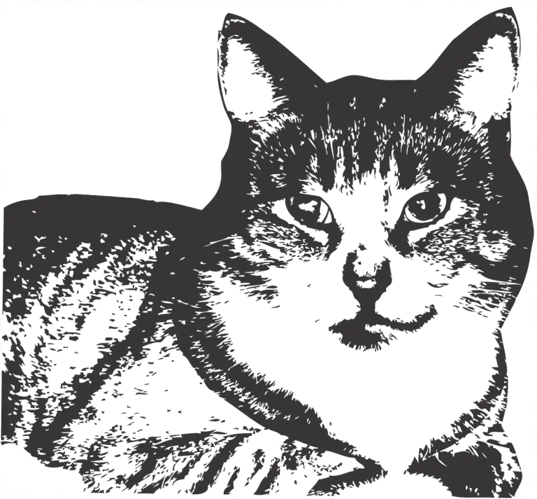 Why do cats purr when petted?